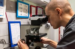 Pharmacie vétérinaire 2