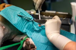 Chirurgie 1