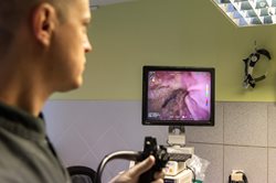 Endoscopie 2