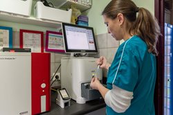 Analyses médicales 2