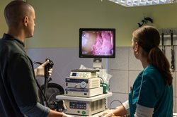 Endoscopie 1